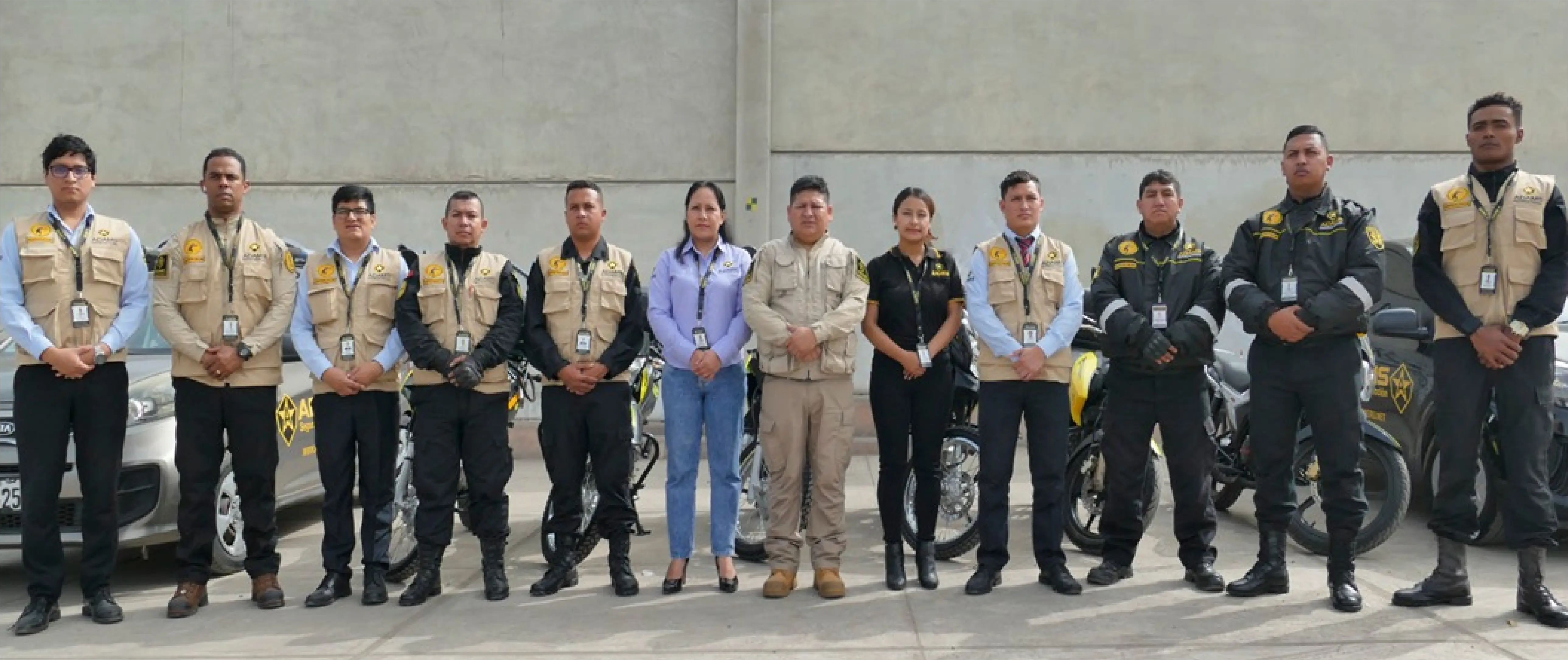 Seguridad y vigilancia